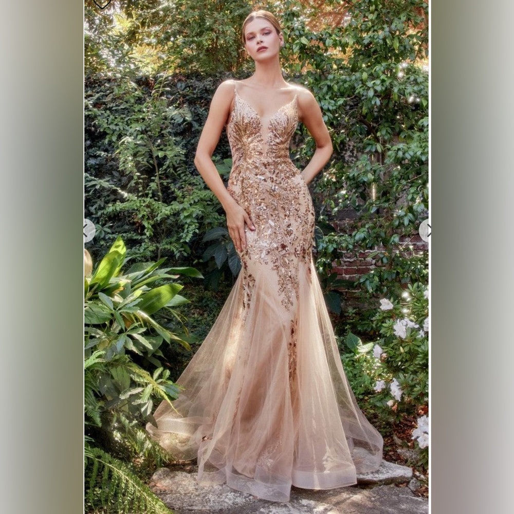 Andrea & Leo Gold dress.